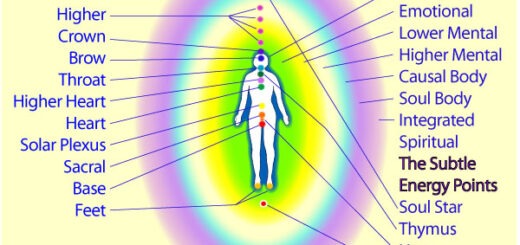 The Human Energy System