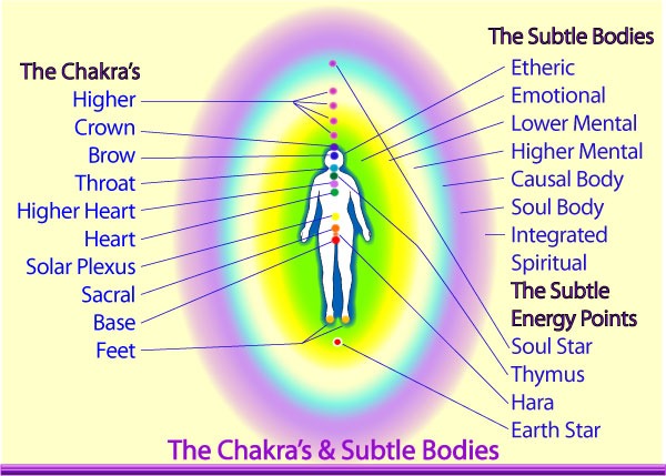 The Human Energy System