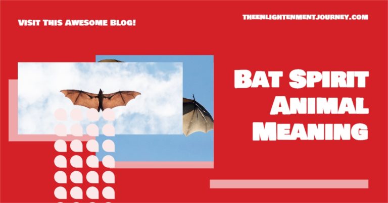 Bat Spirit Animal Meaning