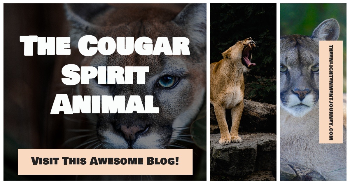 The Cougar Spirit Animal