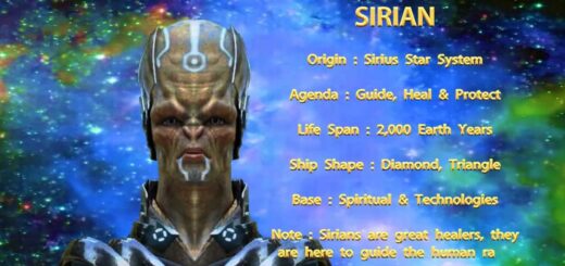 The Sirius Constellation: Who are the Sirians?