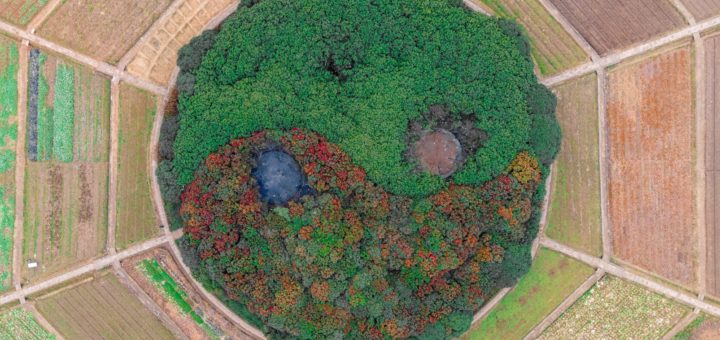 drone shot of a round ying yang garden in the centre of croplands