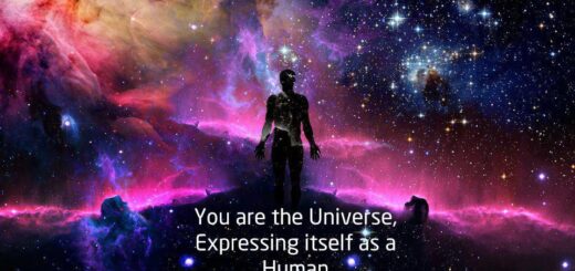 you are the universe as a human