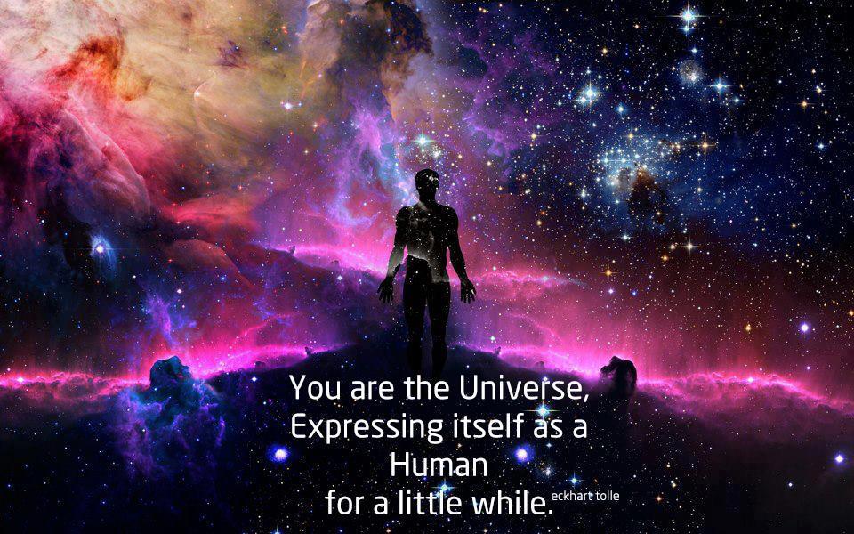 you are the universe as a human