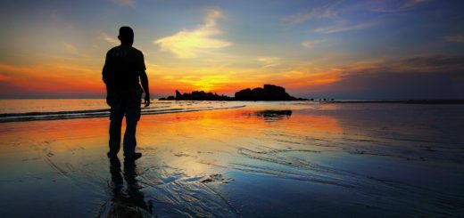 silhouette of man standing on seashore