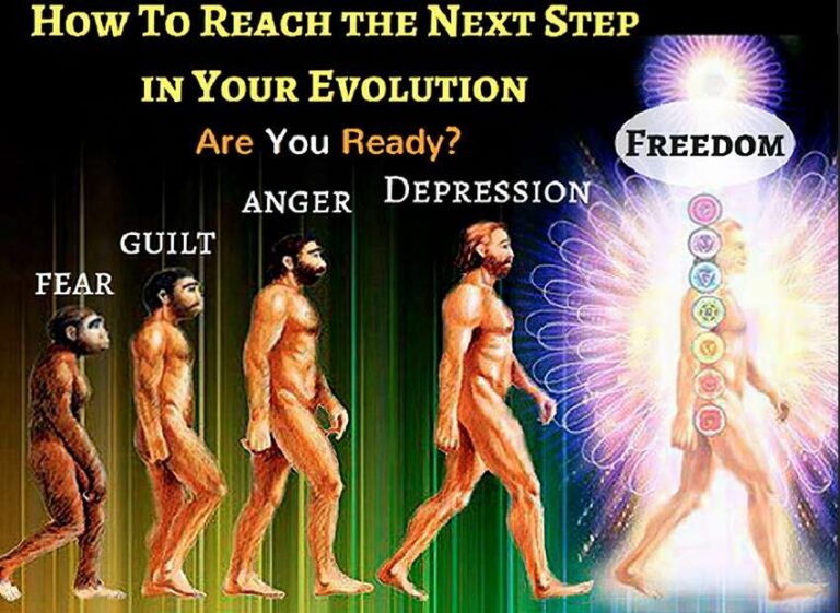 Evolve-Existential-Crisis
