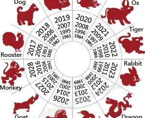 zodiac sign year