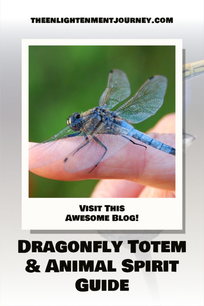 Dragonfly Totem & Animal Spirit Guide