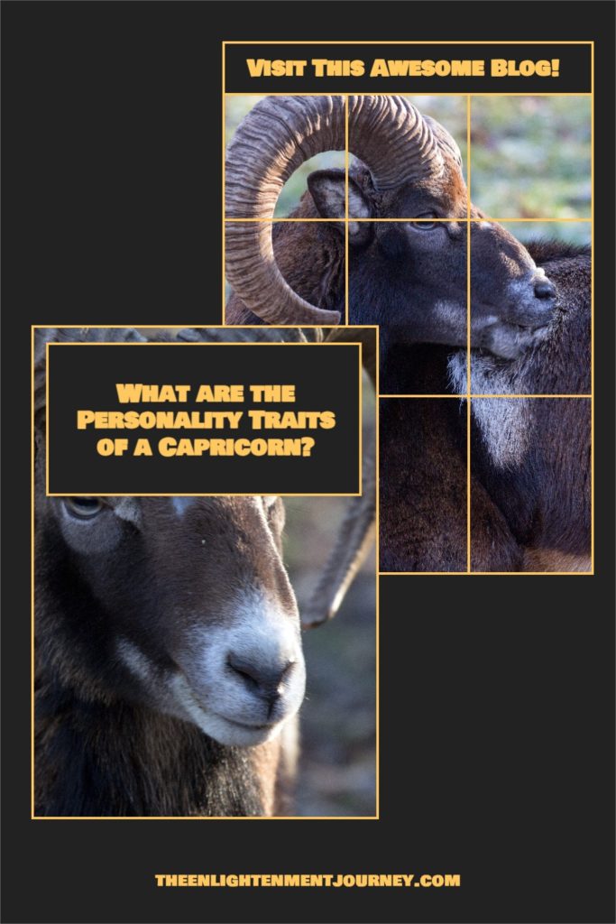 What are the Personality Traits of a Capricorn?