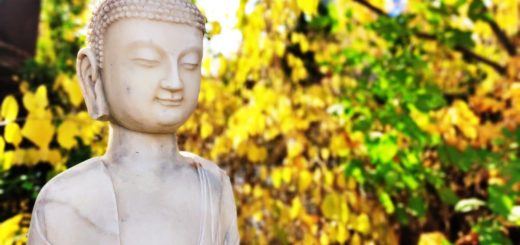 stone buddha with autumn leaves on background