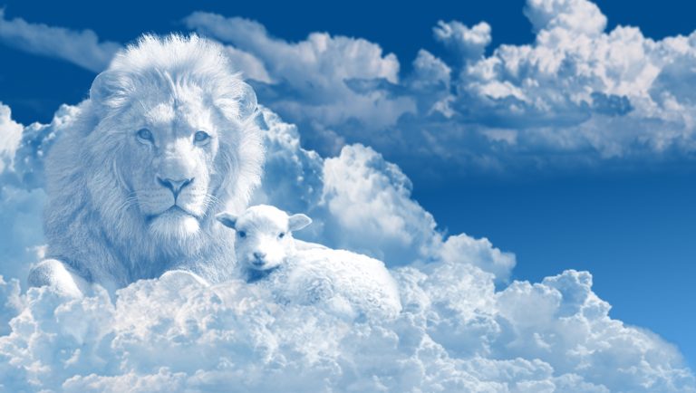 what are facts about spirit guides and angels