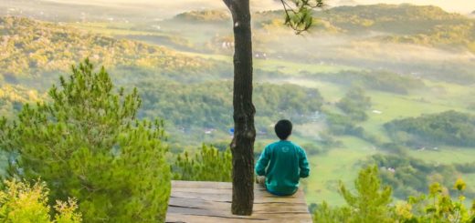 photo of a man sitting under the tree