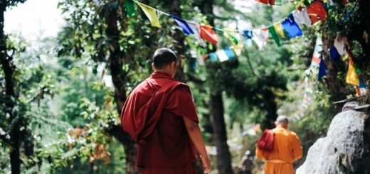 two monks walking between trees