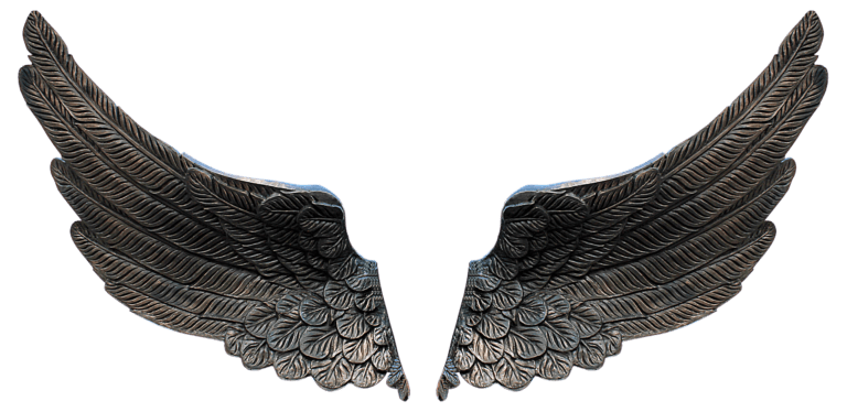 Meaning of the Angel Number 2929
