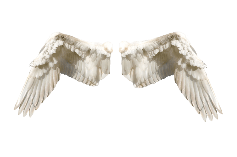 angel number 515 meaning