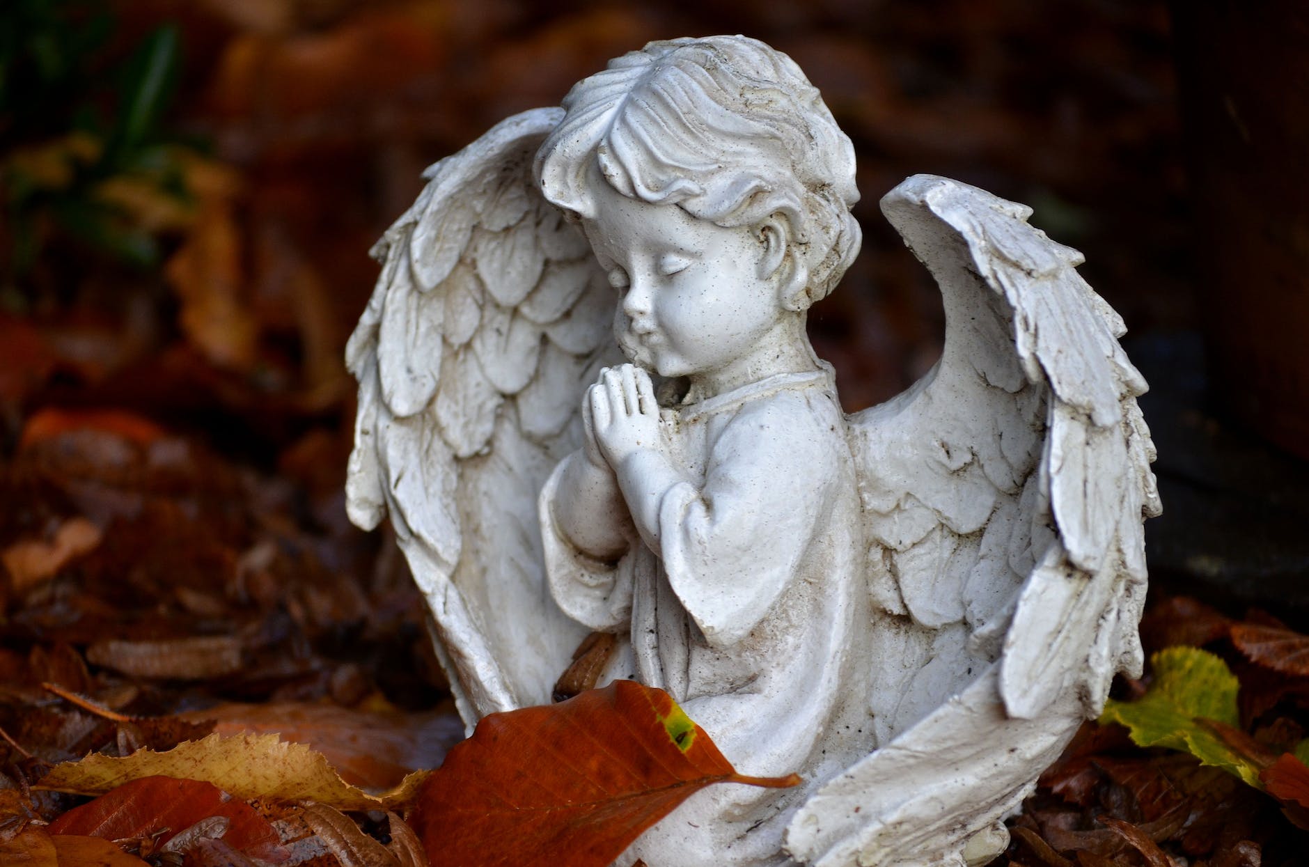 close up photograph of an angel sculpture playing