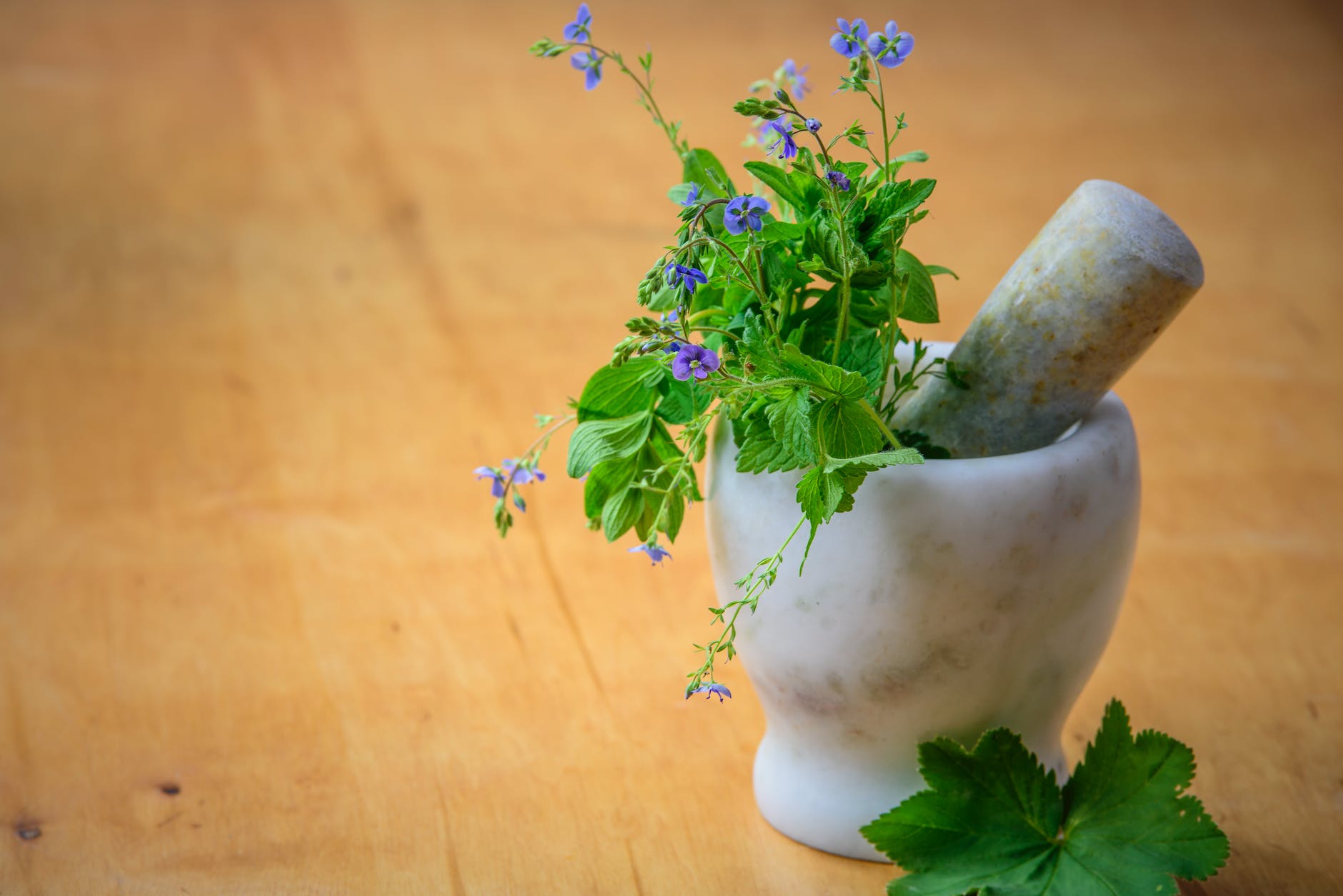 herbal medicine benefits and uses