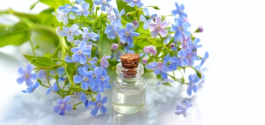 ESSENTIAL OILS AND ANTIOXIDANT PROPERTIES