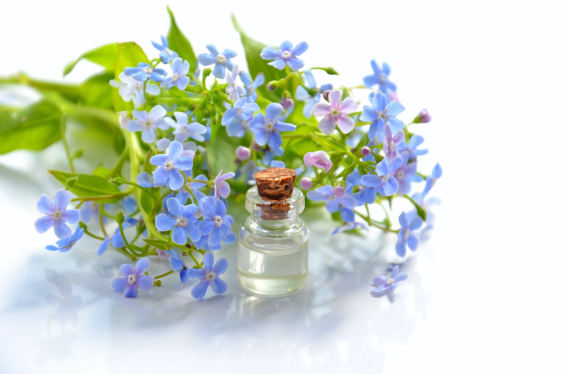 ESSENTIAL OILS AND ANTIOXIDANT PROPERTIES