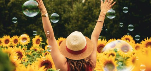 woman surrounded by sunflowers