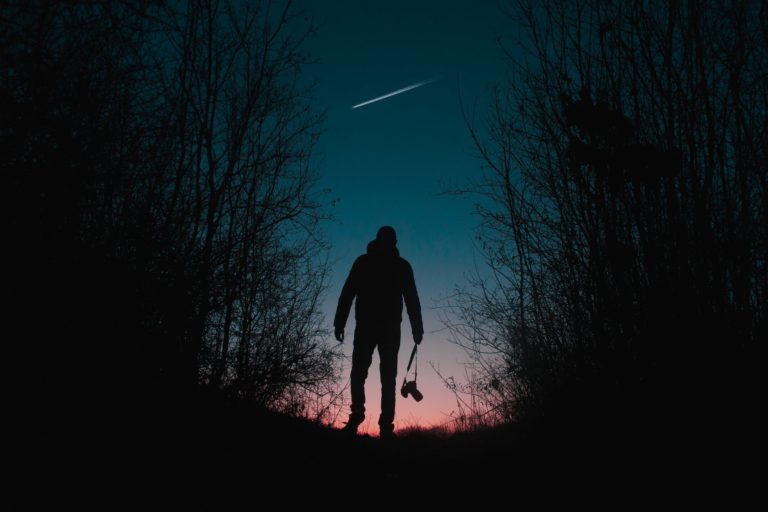 silhouette of man and trees