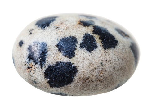 what are the uses of dalmatian jasper