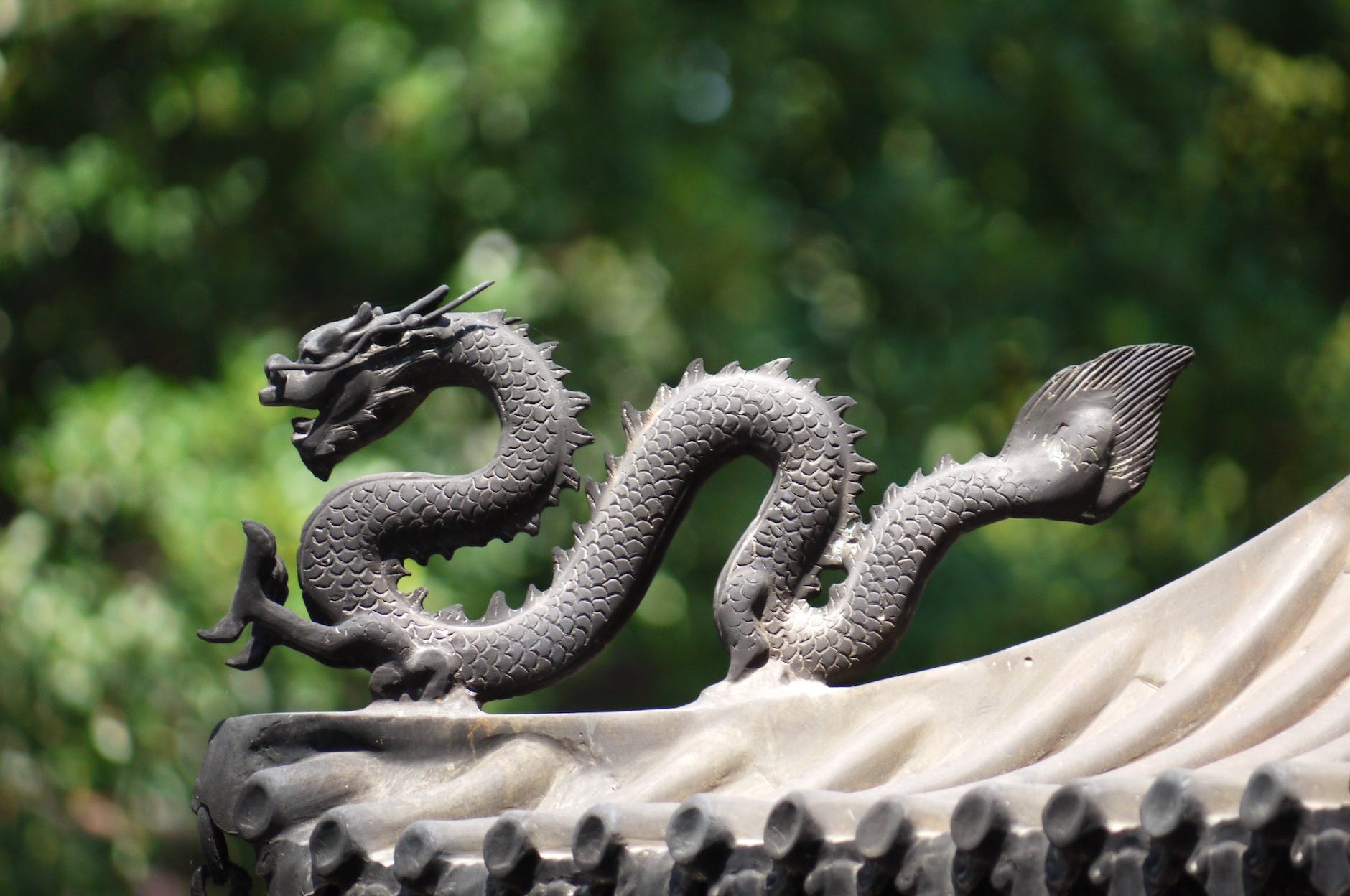 the year of the dragon on the Chinese zodiac meaning and interpretations