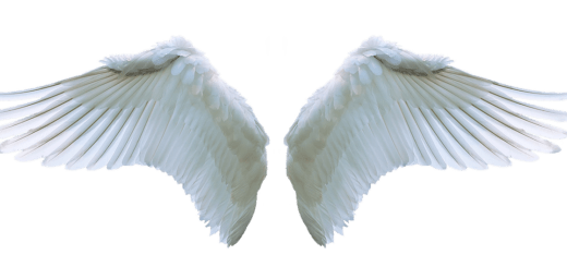 Angel Number 1202 meanings