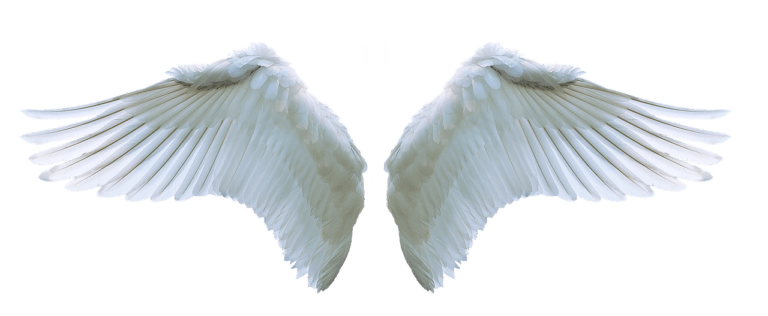 Angel Number 1202 meanings