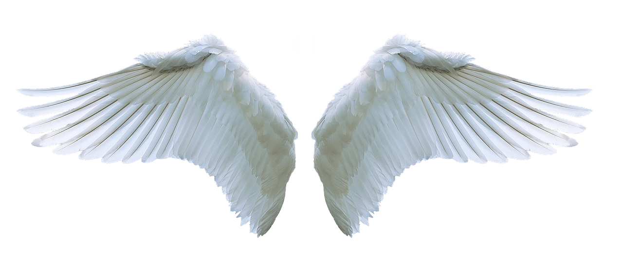 Angel Number 1202 meanings