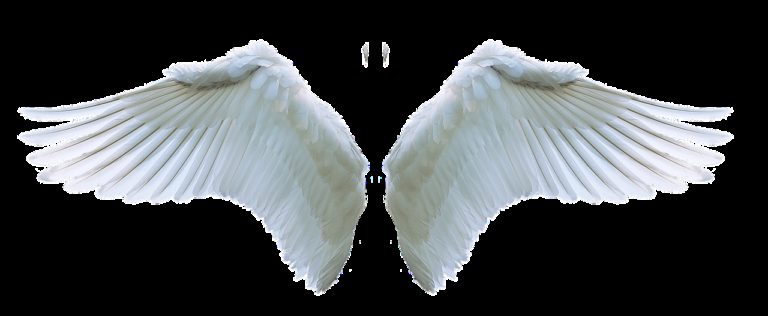 333 Angel Number Symbol