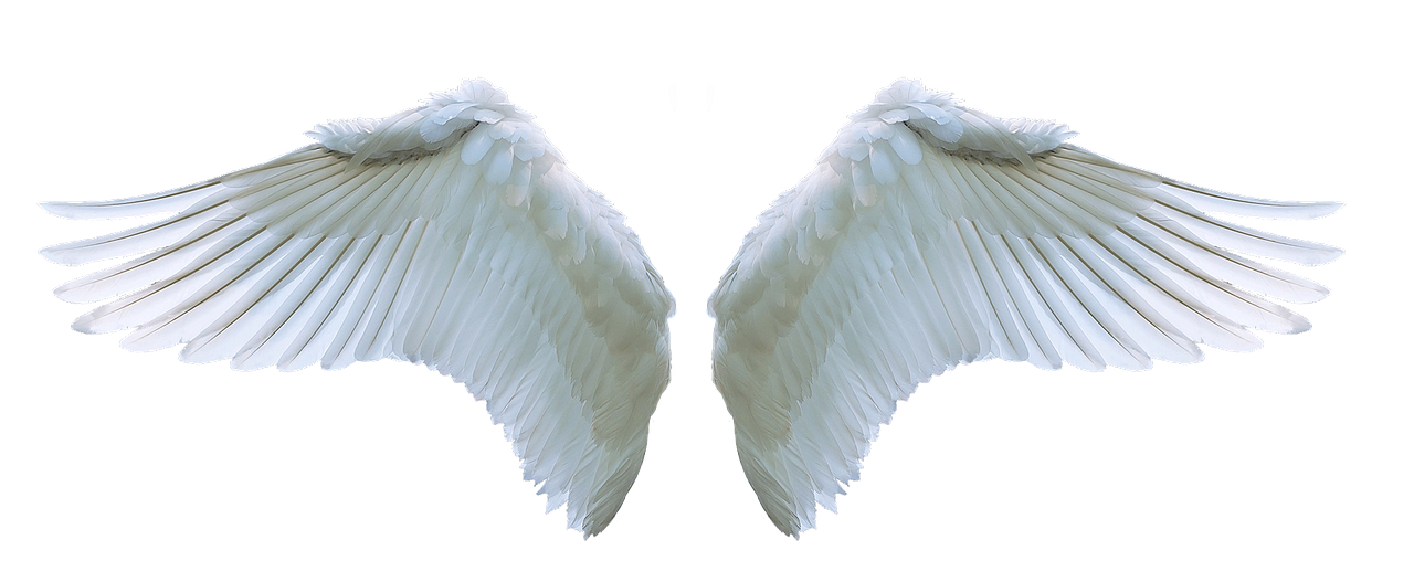 333 Angel Number Symbol