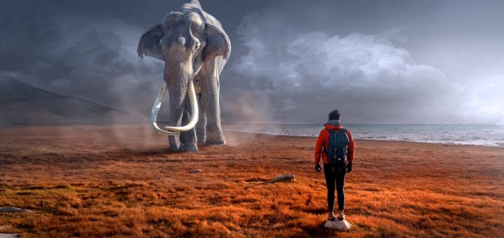 fantasy, elephant, man