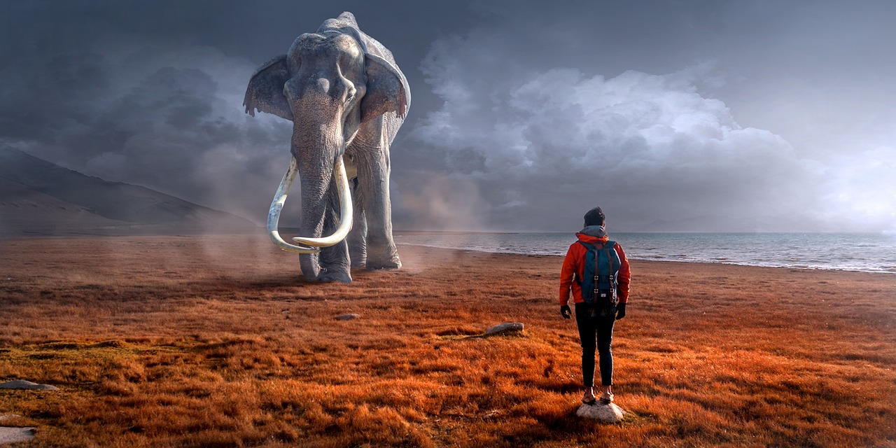 fantasy, elephant, man