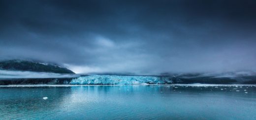 canada, glacier bay, glacier