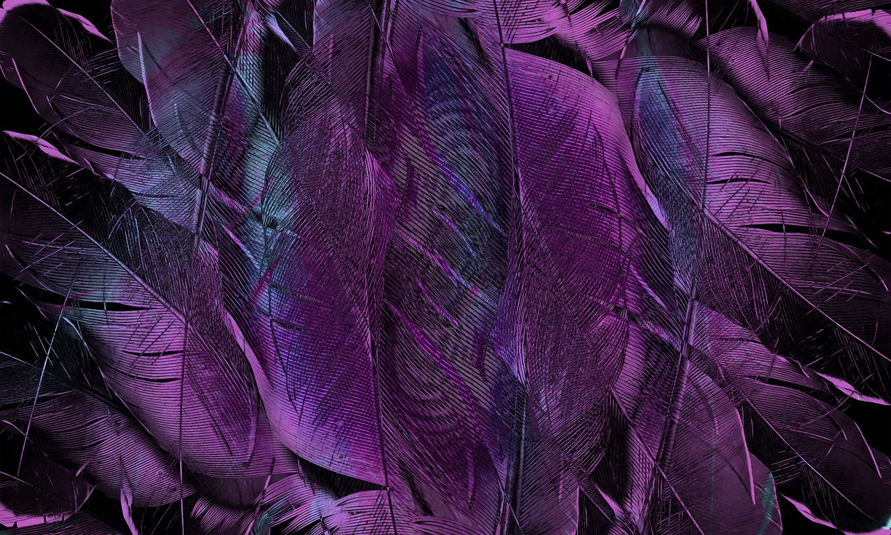 feather, pattern, texture