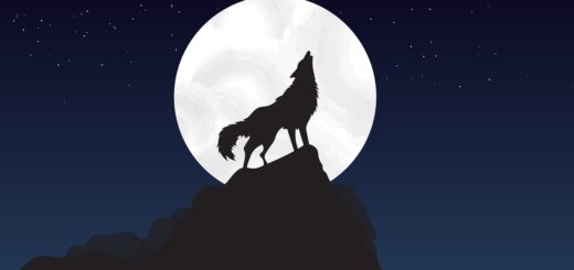 The Wolf Symbolism For Twin Flames