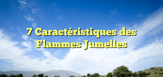 7 Caractéristiques des Flammes Jumelles