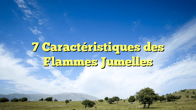 7 Caractéristiques des Flammes Jumelles