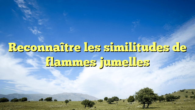 Reconnaître les similitudes de flammes jumelles