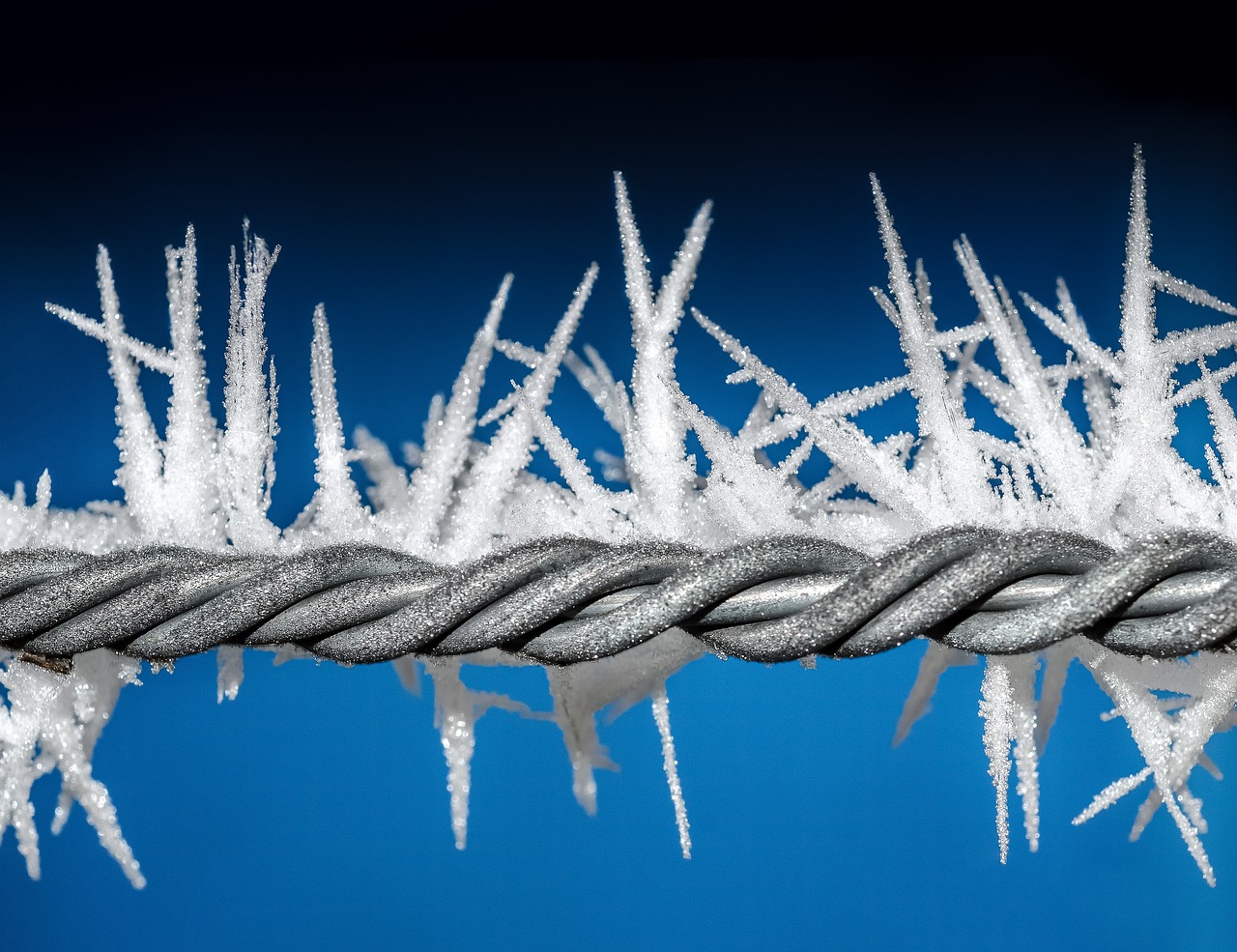 ice, wire, winter