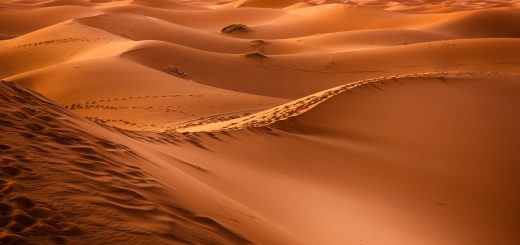 desert, sand dunes, dunes