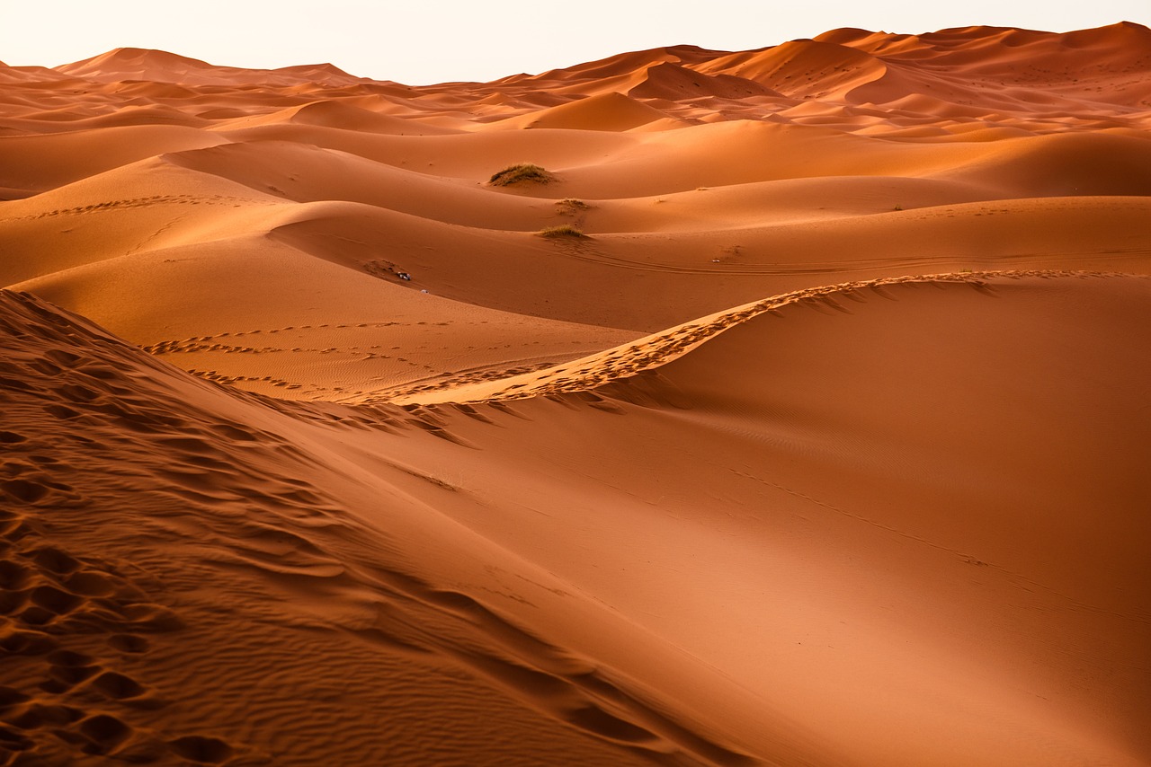 desert, sand dunes, dunes