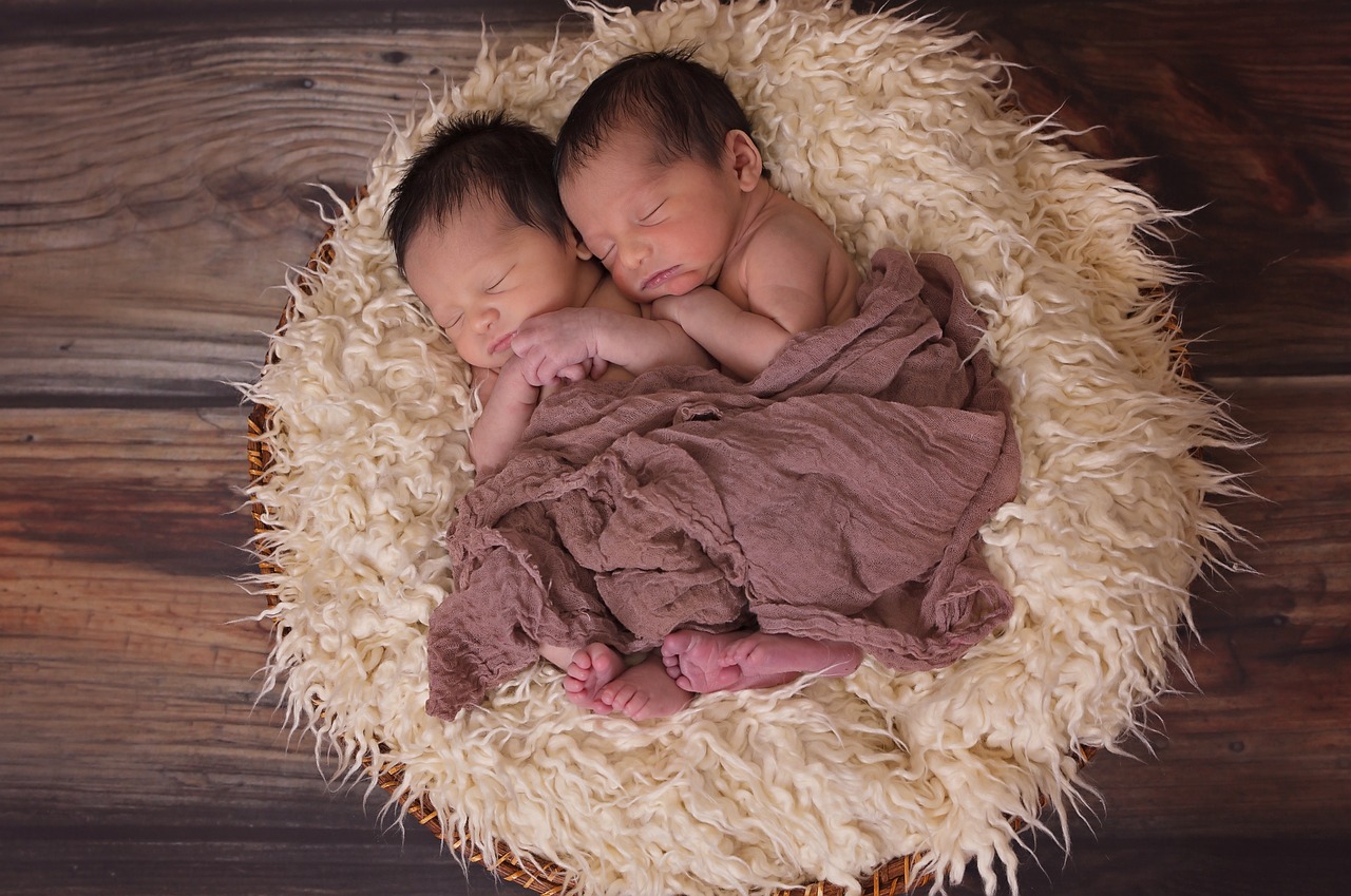 twins, babies, newborn