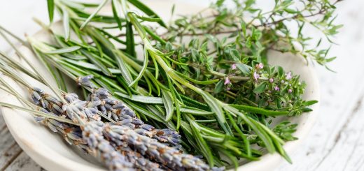 herbs, french, bouquet