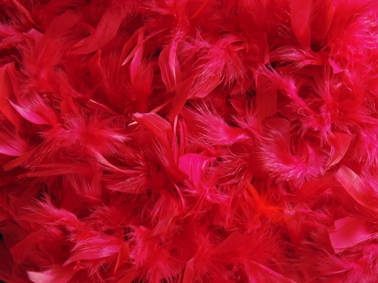 feathers, dyed, free background