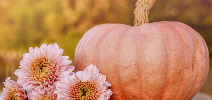 pumpkin, fall, decoration