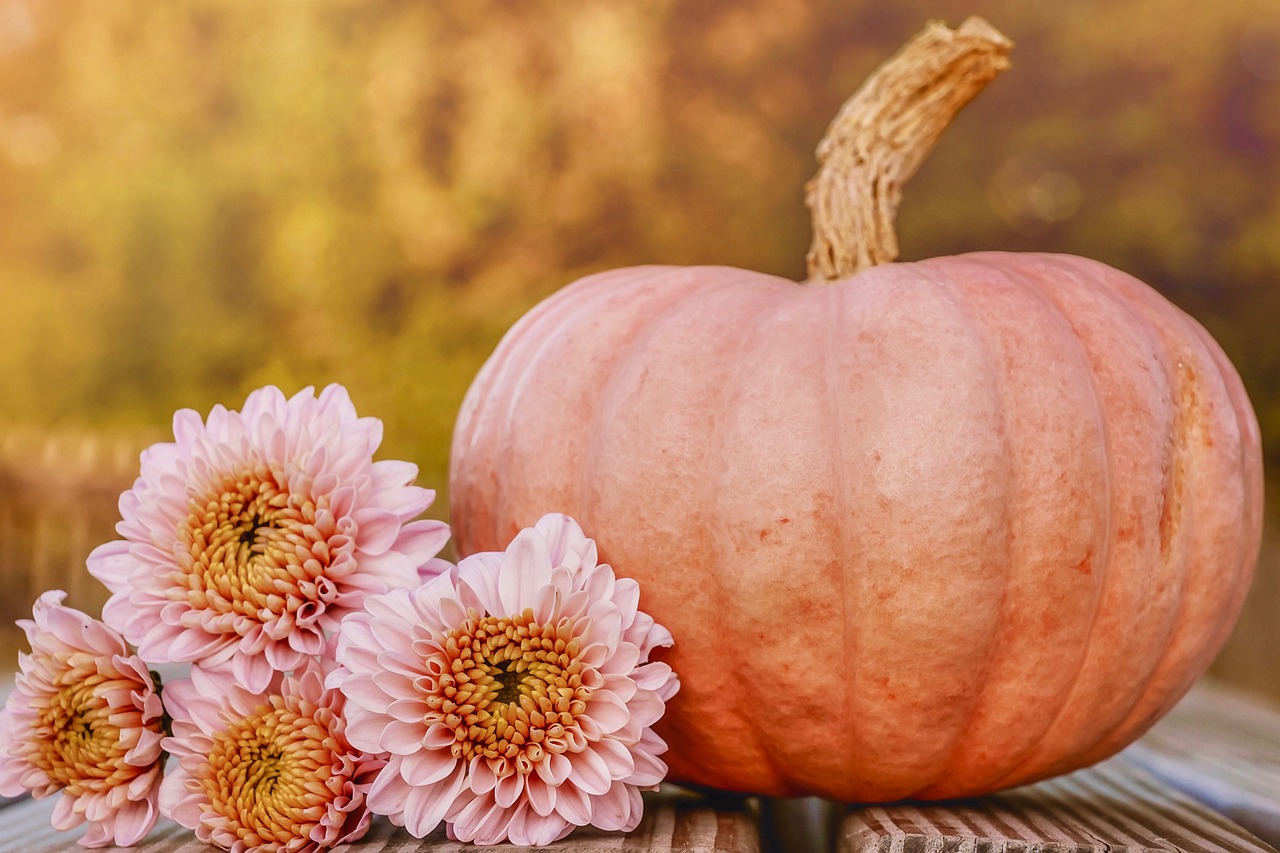 pumpkin, fall, decoration