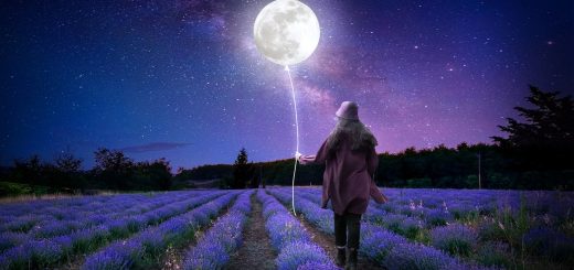 moon, stars, lavender