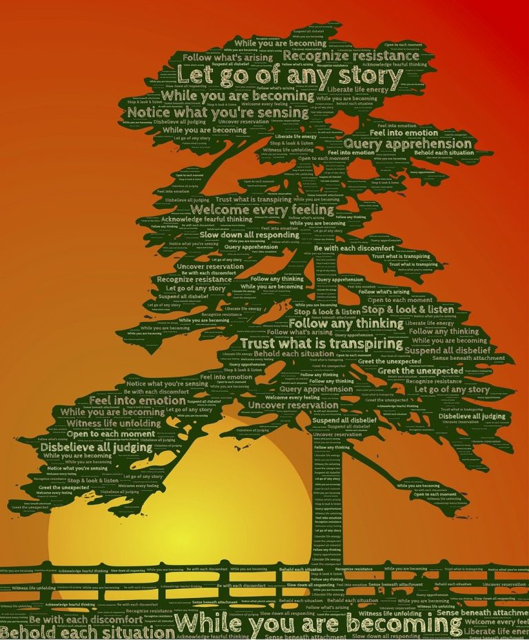 tree, awareness, meditation